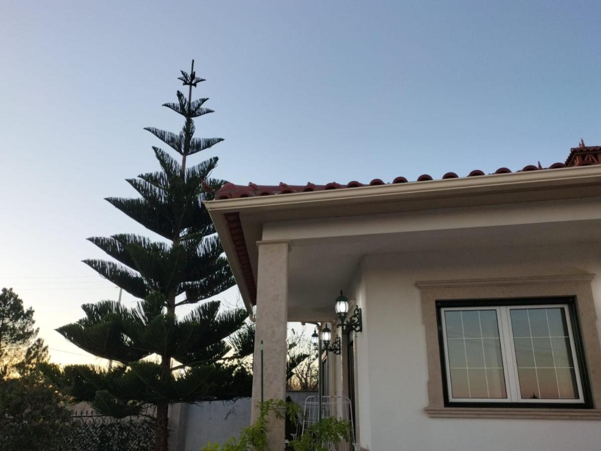 Hotel Casa Dos Gnomos Alvorninha Exteriér fotografie